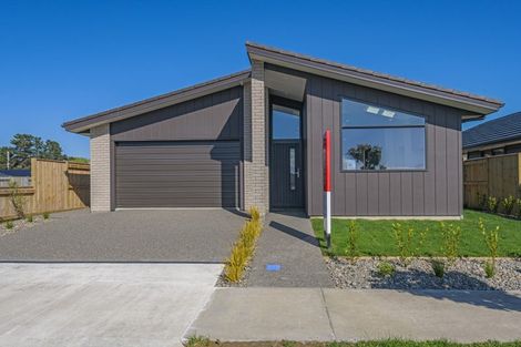 Photo of property in 11 Pokerekere Crescent, Kelvin Grove, 4470