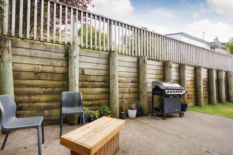 Photo of property in 56a Glasgow Terrace, Feilding, 4702