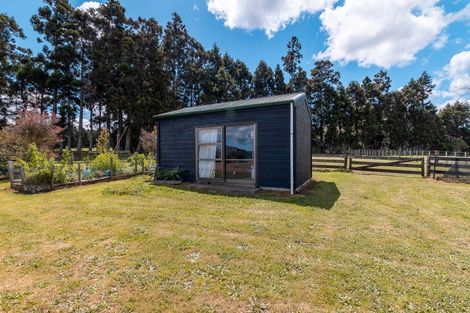 Photo of property in 51 Hinewa Road, Otumoetai, Tauranga, 3110