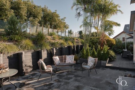 Photo of property in 56 Westmorland Rise, Bethlehem, Tauranga, 3110