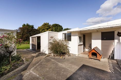 Photo of property in 19 Waipureku Street, Clive, 4102