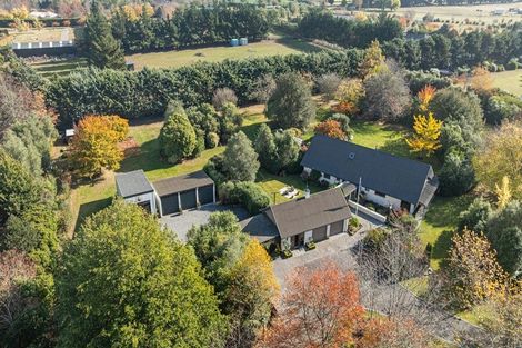 Photo of property in 259 O'roarkes Road, Fernside, Rangiora, 7471