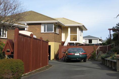 Photo of property in 28a Sheen Street, Roslyn, Dunedin, 9010