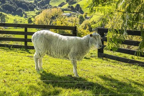 Photo of property in 863 Puketitiri Road, Puketapu, Napier, 4182