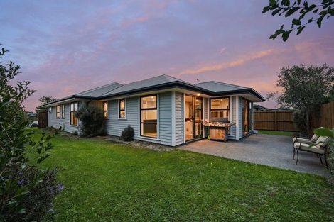 Photo of property in 19 William Nicholls Drive, Belfast, Christchurch, 8051