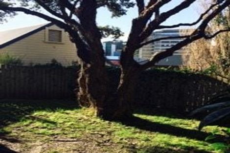 Photo of property in 22d Hall Street, Newtown, Wellington, 6021