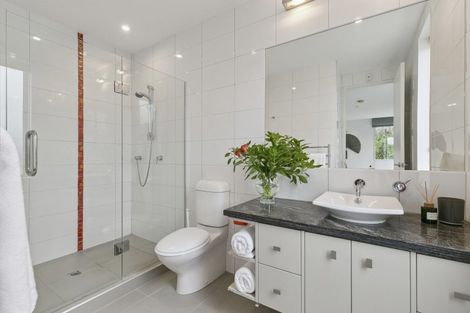 Photo of property in Alto Apartments, 4a/22 Telford Terrace, Oriental Bay, Wellington, 6011