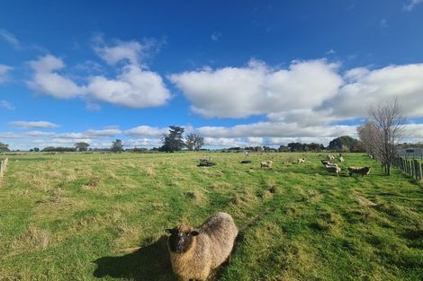 Photo of property in 9 Hendersons Line, Marton, 4710