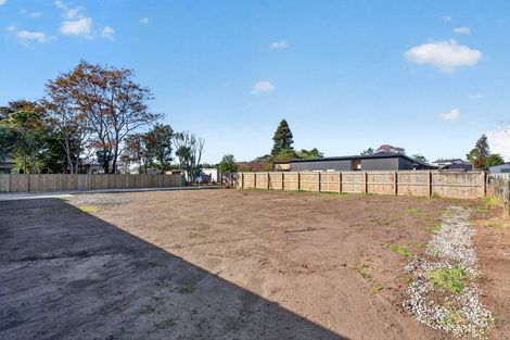 Photo of property in 42d Colville Street, Masterton, 5810
