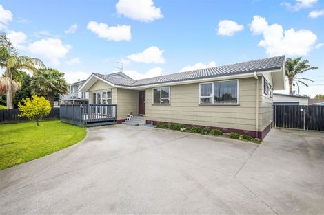 Photo of property in 9 Hindmarsh Street, Henderson, Auckland, 0612
