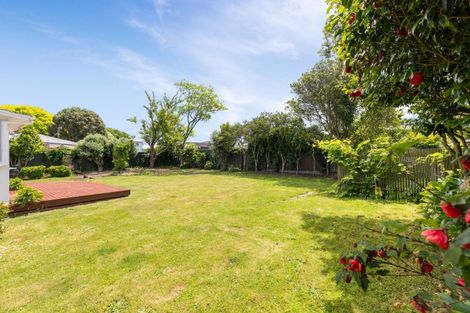 Photo of property in 6 Belgrave Place, Awapuni, Palmerston North, 4412