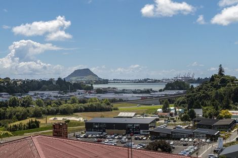 Photo of property in 19 Clarke Street, Gate Pa, Tauranga, 3112