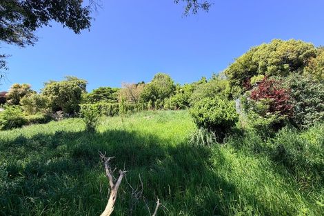 Photo of property in 36a Falcon Street, Kaikorai, Dunedin, 9010