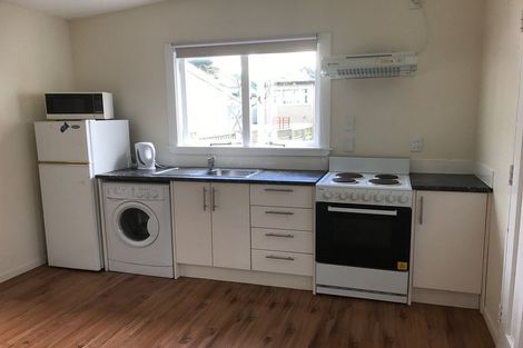 Photo of property in 98 Majoribanks Street, Mount Victoria, Wellington, 6011