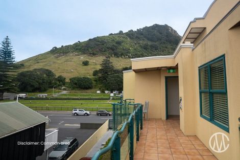 Photo of property in 6 Adams Avenue, Mount Maunganui, 3116