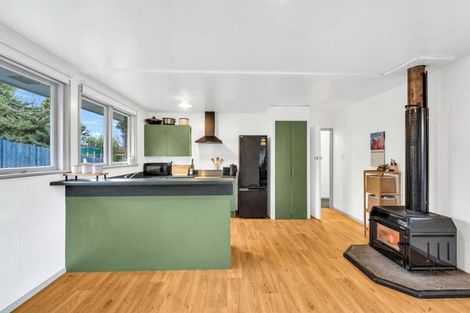 Photo of property in 91 Hamilton Street, East Gore, Gore, 9710