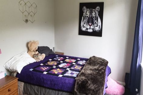 Photo of property in 5 Walmer Street, Hataitai, Wellington, 6021