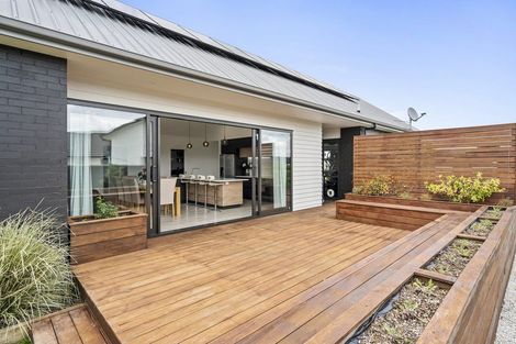 Photo of property in 20 Mike Smith Drive, Cambridge, 3434