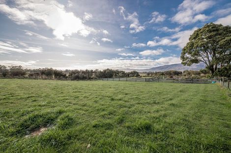 Photo of property in 57 Caledonian Road, Westport, 7892