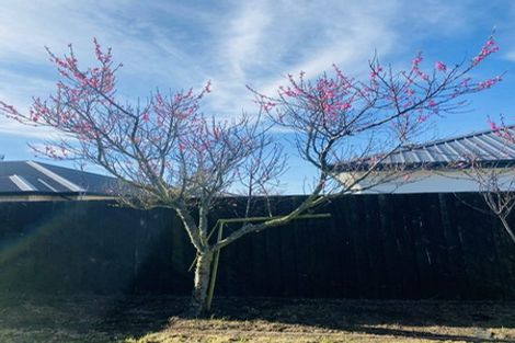 Photo of property in 23 Wardell Street, Wigram, Christchurch, 8042