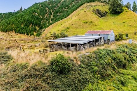 Photo of property in 568 Matau Road North, Matau, Stratford, 4395