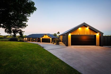 Photo of property in 114 Halcombe Road, Feilding, 4775