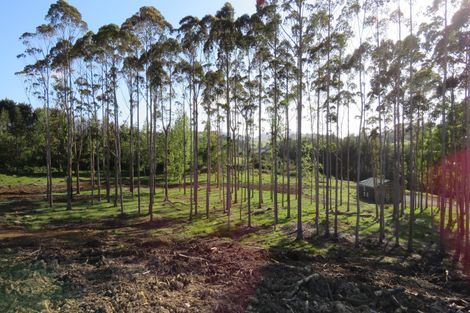Photo of property in 2770 State Highway 10, Mangonui, 0494
