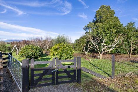 Photo of property in 4953 Ohaupo Road, Te Awamutu, 3879