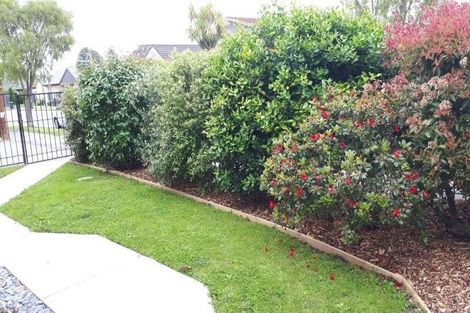 Photo of property in 8 Woodbank Street, Somerfield, Christchurch, 8024