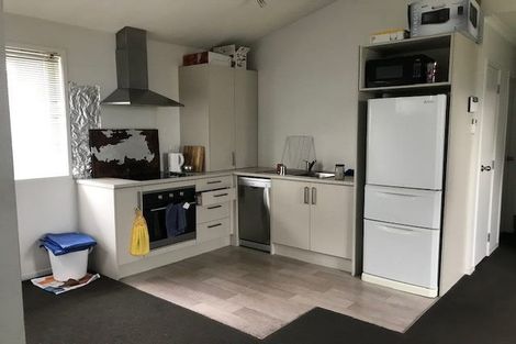 Photo of property in 13u2 Lyon Street, Frankton, Hamilton, 3204