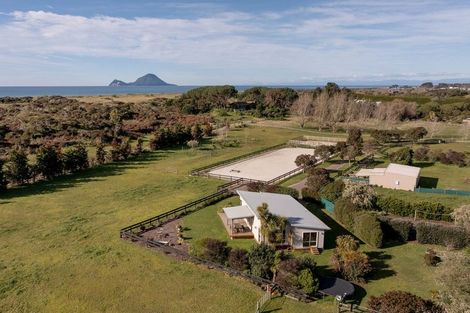 Photo of property in 930b Thornton Road, Thornton, Whakatane, 3194
