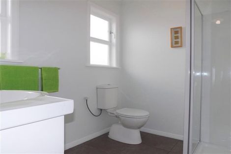 Photo of property in 33 Middlesex Street, Levin, 5510