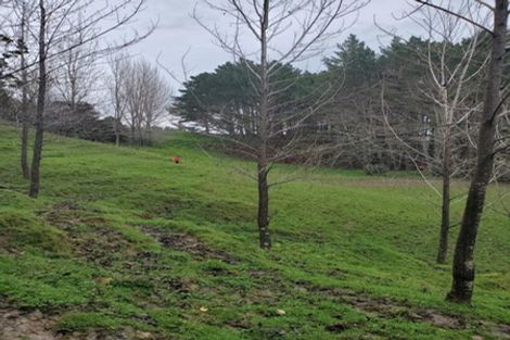 Photo of property in 482 Krippner Road, Puhoi, Warkworth, 0994