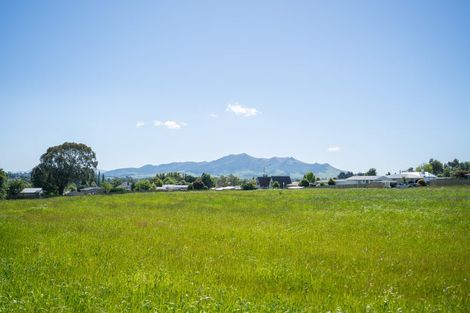 Photo of property in 12 Kahikatea Drive, East Gore, 9710