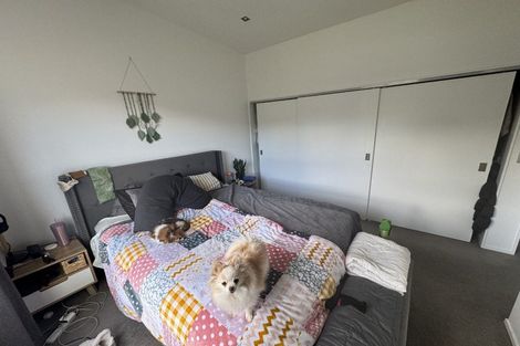 Photo of property in 38 Saddleback Grove, Karori, Wellington, 6012