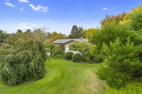 Photo of property in 124 Double Corner Road, Amberley, 7481