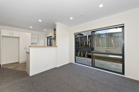 Photo of property in 3u1 Palmerston Street, Hamilton Central, Hamilton, 3204