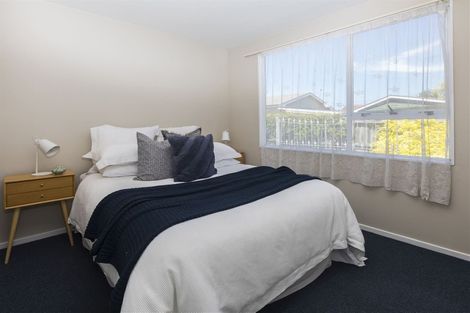 Photo of property in 87 Olliviers Road, Phillipstown, Christchurch, 8011