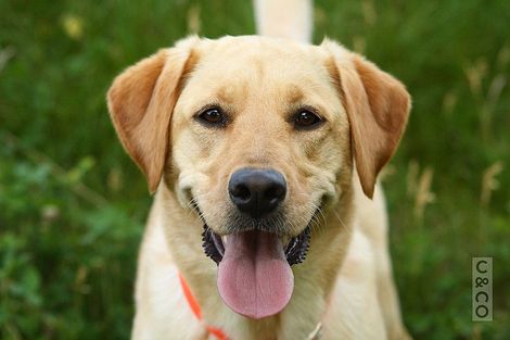 Photo of property in 1134 Old North Road, Helensville, Waimauku, 0882