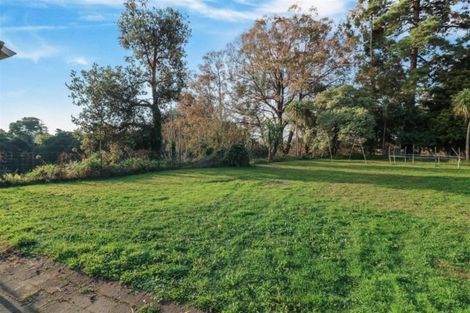 Photo of property in 119 Fitzroy Avenue, Fitzroy, Hamilton, 3206