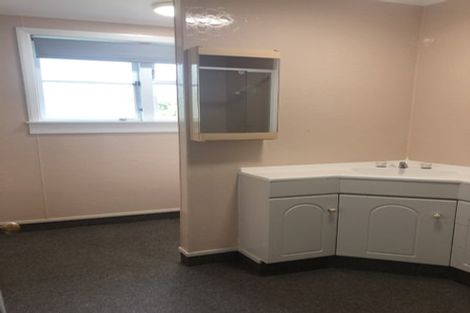 Photo of property in 22 Balloch Street, Fairfield, Hamilton, 3214