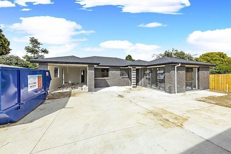 Photo of property in 19a Surrey Street, Hawera, 4610