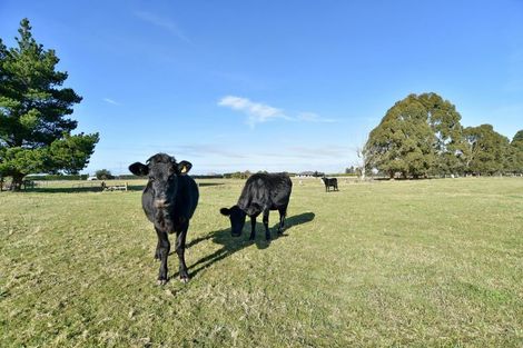 Photo of property in 77 Bridge Road, Fernside, Rangiora, 7475