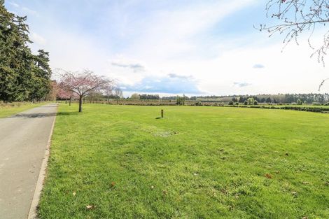 Photo of property in 24 Meadowlinks Lane, Pleasant Point, Timaru, 7974