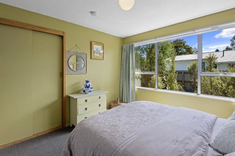 Photo of property in 19 Tramway Road, Springfield, 7681