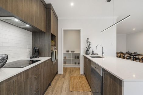 Photo of property in 70 Waterlily Street, Hobsonville, 0616