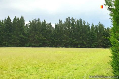 Photo of property in 22 Stafford Street, Hampden, 9410