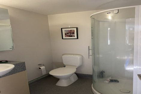 Photo of property in Dual Apartments, 411/142u Vivian Street, Te Aro, Wellington, 6011