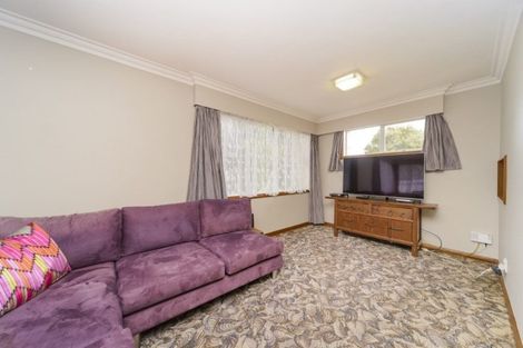 Photo of property in 20 Matipo Street, Takaro, Palmerston North, 4410