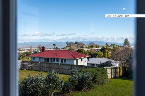 Photo of property in 107 Hauraki Terrace, Thames, 3500